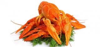 Без названия.jpg